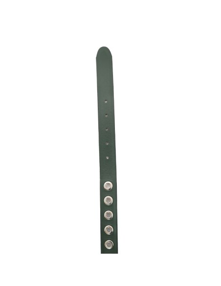 ceinture femme suède vert WB-CONALA-GREEN
